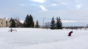 Skating session in perfect winter weather.  Hard to tell in the photo, but that's a mountain view skating session on the right side of the horizon.